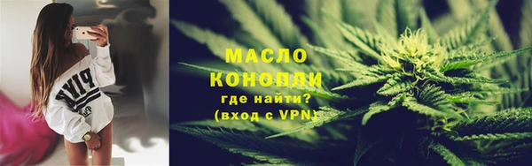 скорость Ельня