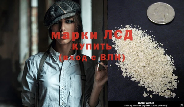 ALPHA PVP Елизово